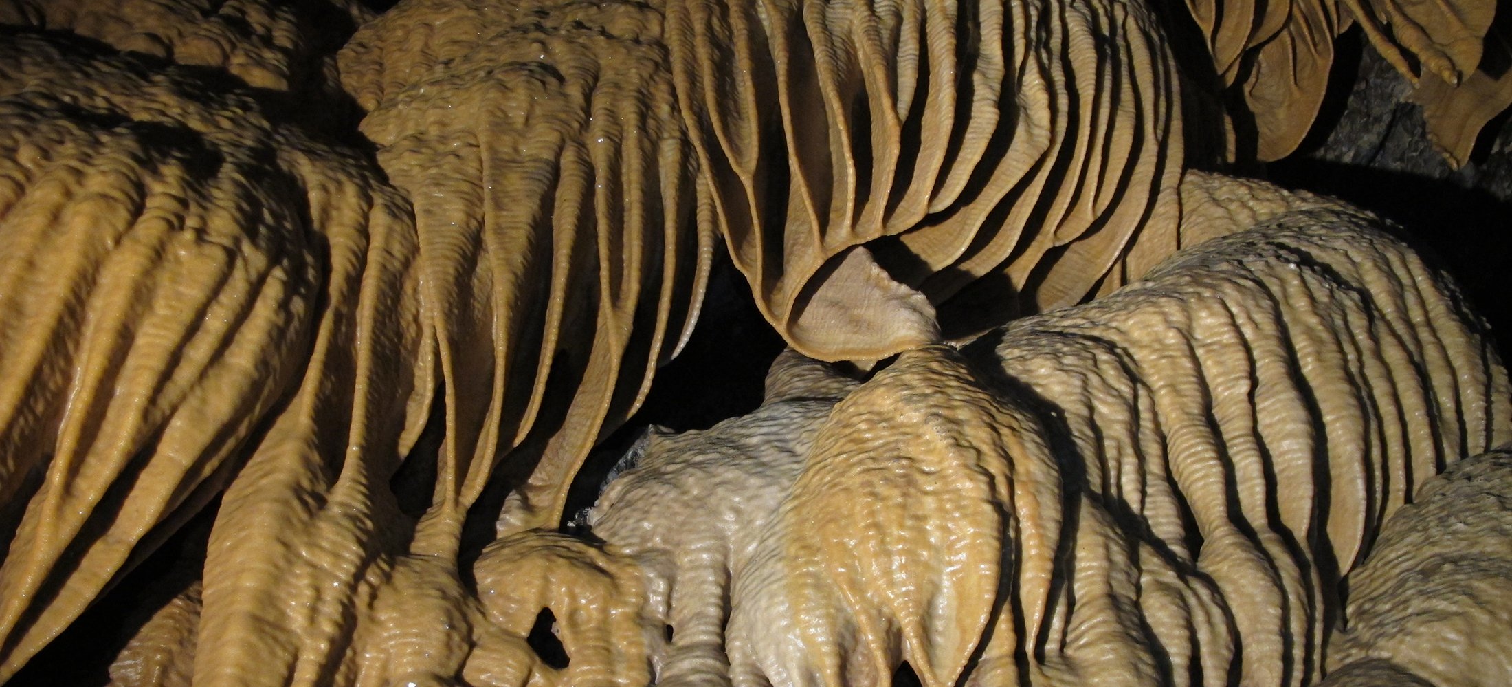 Deb_Hunter_Wild_Cave_Tours_2.jpg